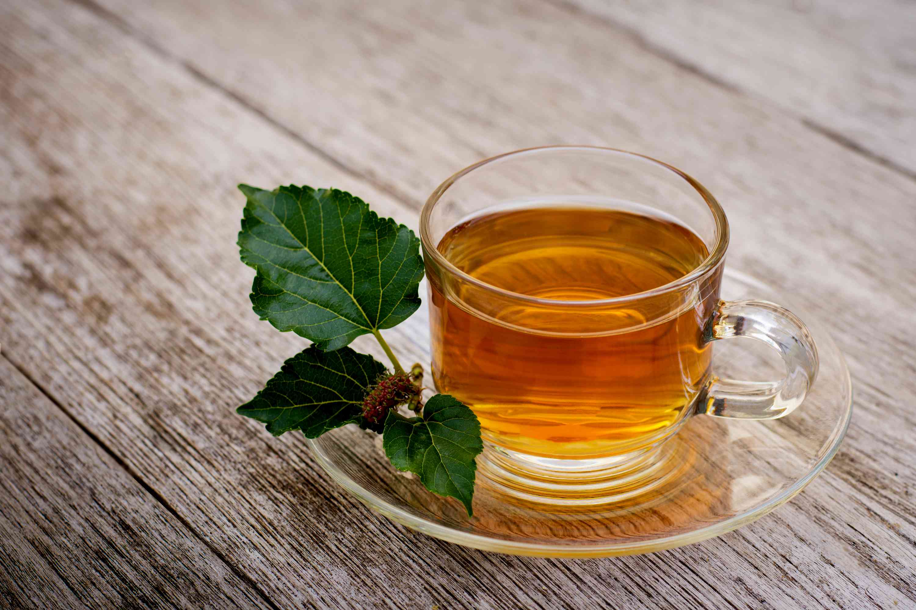Mulberry Tea Wholesale Manufacturer & Supplier in India